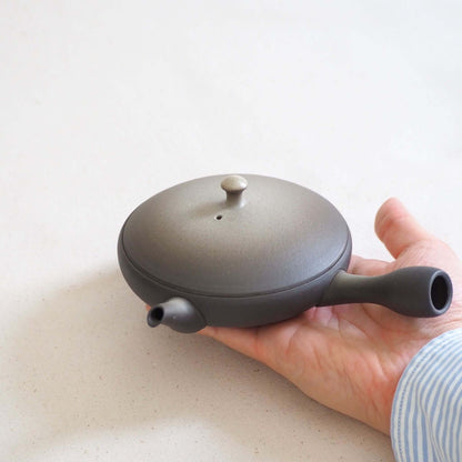 常滑焼 白ぼかし極平急須を掌に載せている— 蓋のグラデーションと胴体の曲線美