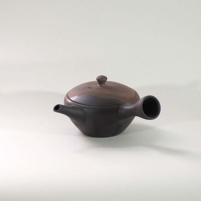 常滑焼玉光陶園の窯変平丸急須の画像。注ぎ口が左、把手が右にある