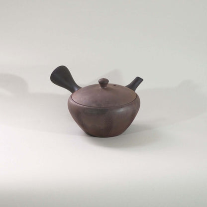 常滑焼玉光陶園の窯変平丸急須の画像。注ぎ口が右、把手が左にある