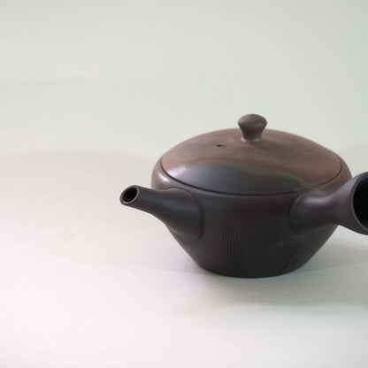 常滑焼玉光陶園の窯変平丸急須の側面