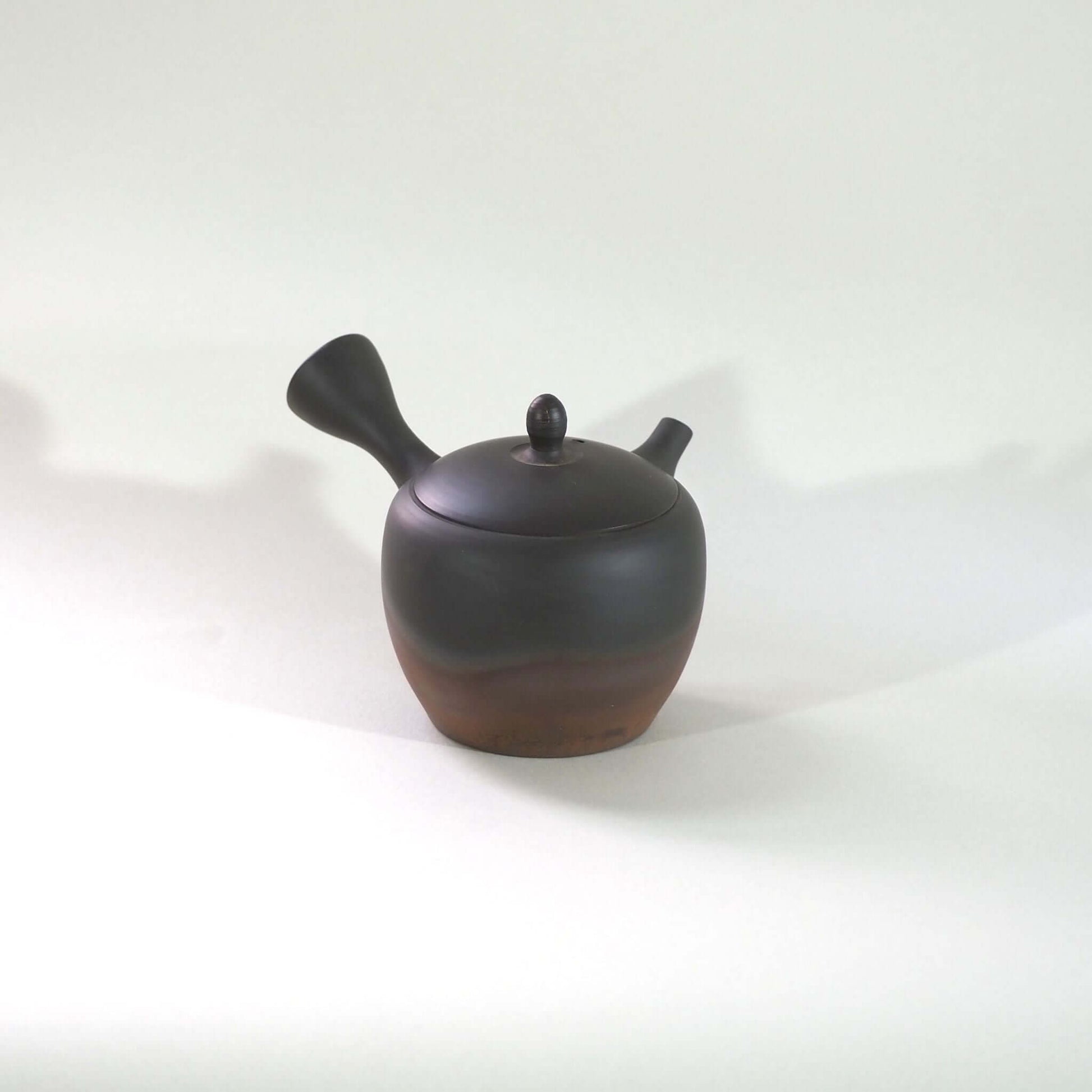 常滑焼玉光陶園の窯変長丸急須の画像。注ぎ口が右、把手が左にある