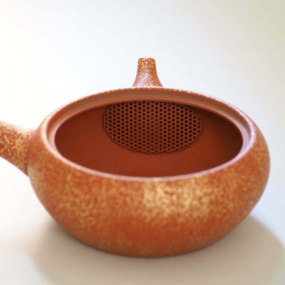 常滑焼玉光陶園の朱泥平丸金たたき急須の内側の茶漉し