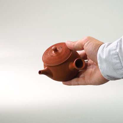 常滑焼玉光陶園の朱泥松皮急須を手で持っている