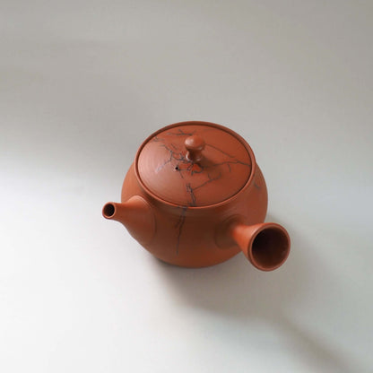 常滑焼玉光陶園の朱泥藻掛け急須を斜め上から見ている