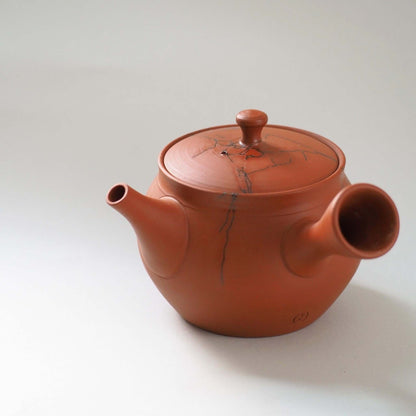 常滑焼玉光陶園の朱泥藻掛け急須の側面