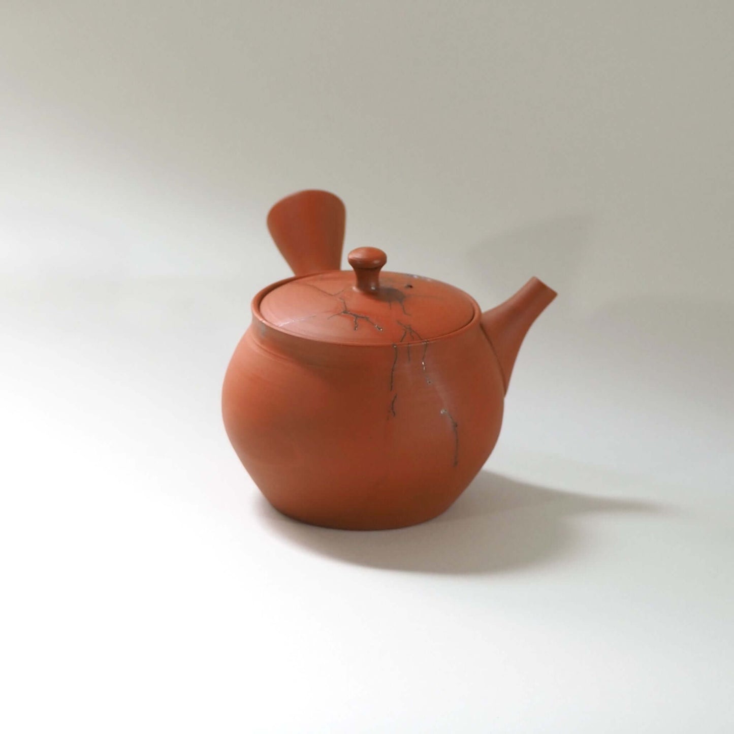 常滑焼玉光陶園の朱泥藻掛け急須を正面から見ている。注ぎ口が右、把手が左にある