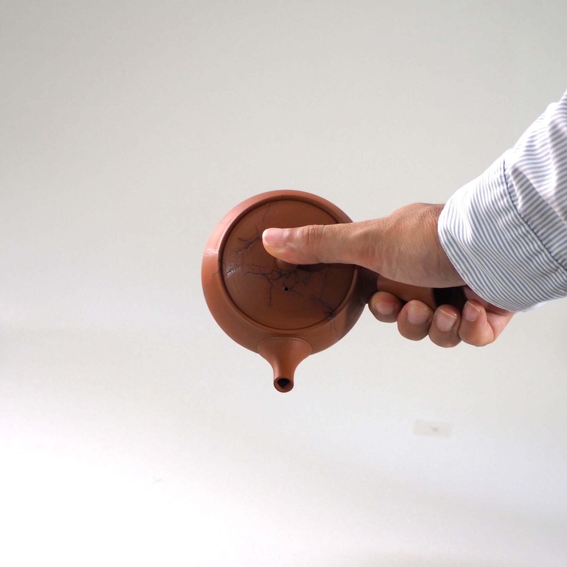 常滑焼玉光陶園の朱泥藻掛け急須を傾け、注ぐ様子