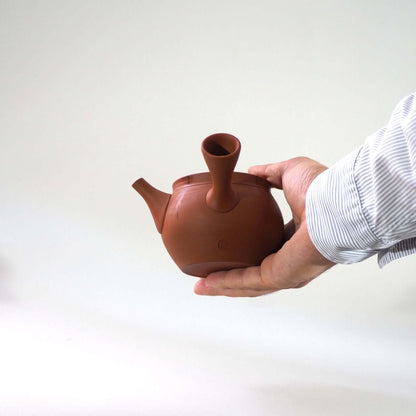 常滑焼玉光陶園の朱泥藻掛け急須を手で持っている