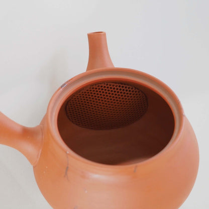 常滑焼玉光陶園の朱泥藻掛け急須の内側の茶漉し