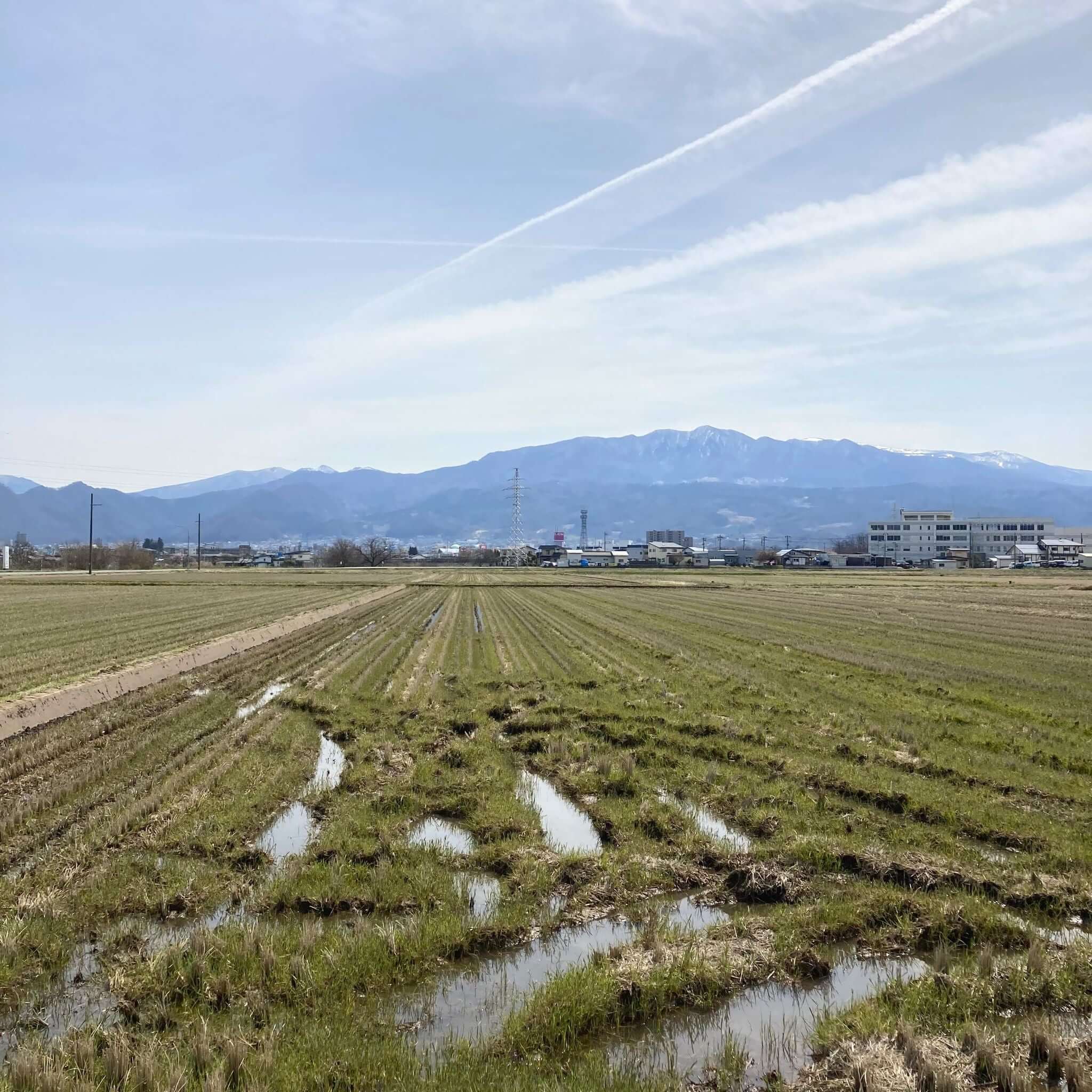 山形鋳物 長文堂 なつめ鉄瓶 [東山堂煎茶器店 オンラインショップ] – 煎茶 中国茶向け茶器とお茶の専門店 東山堂